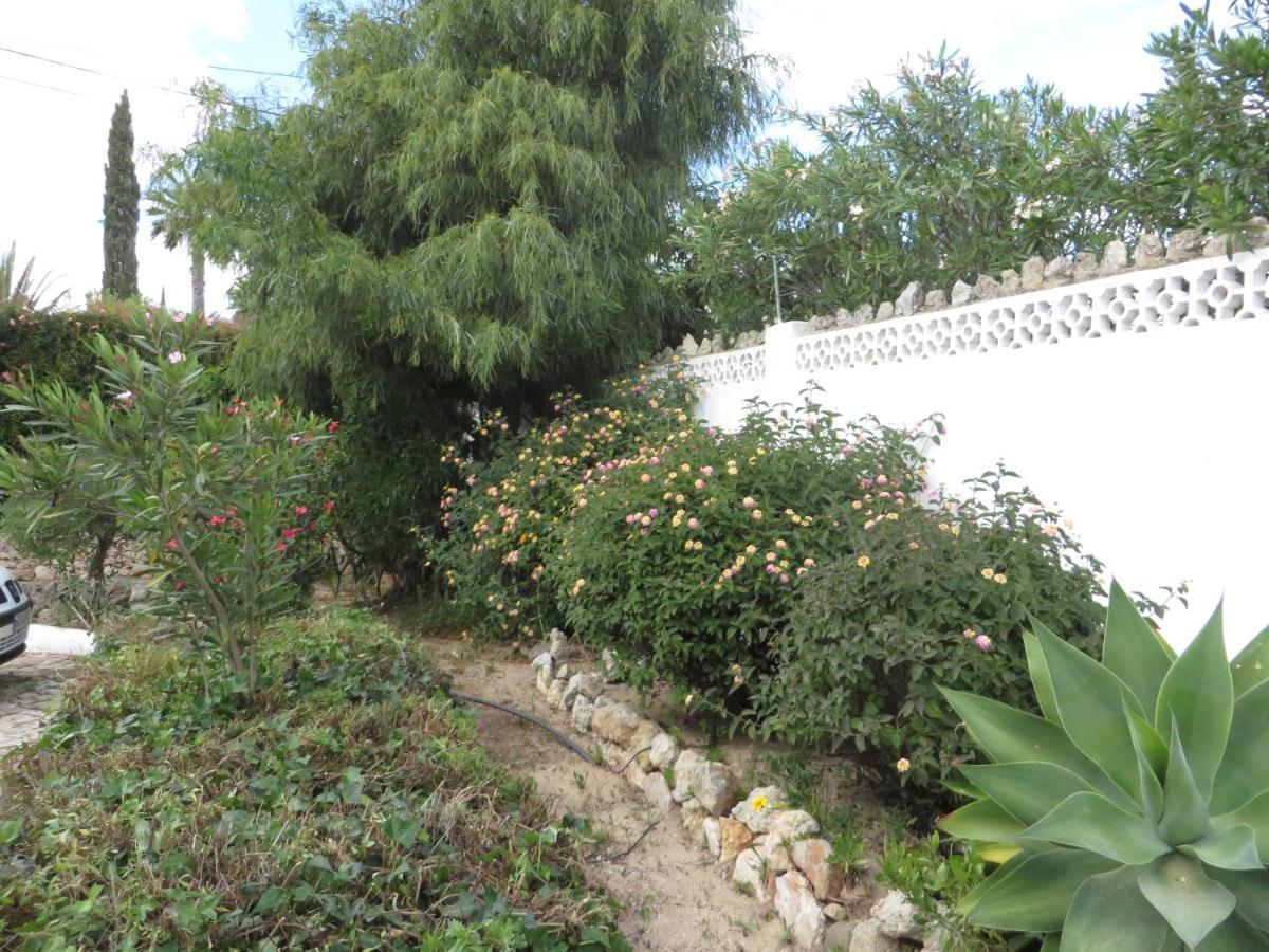Villa El Alcazar 卡武埃鲁 外观 照片
